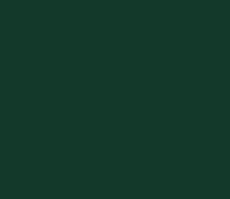 Burnt Umber 202 